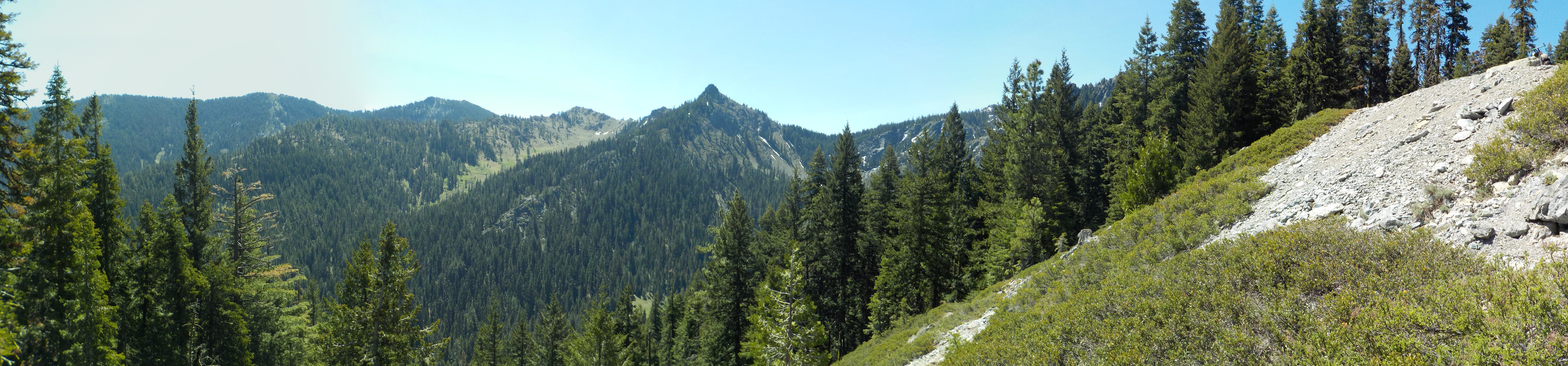 Carte-3r Meadows Summit