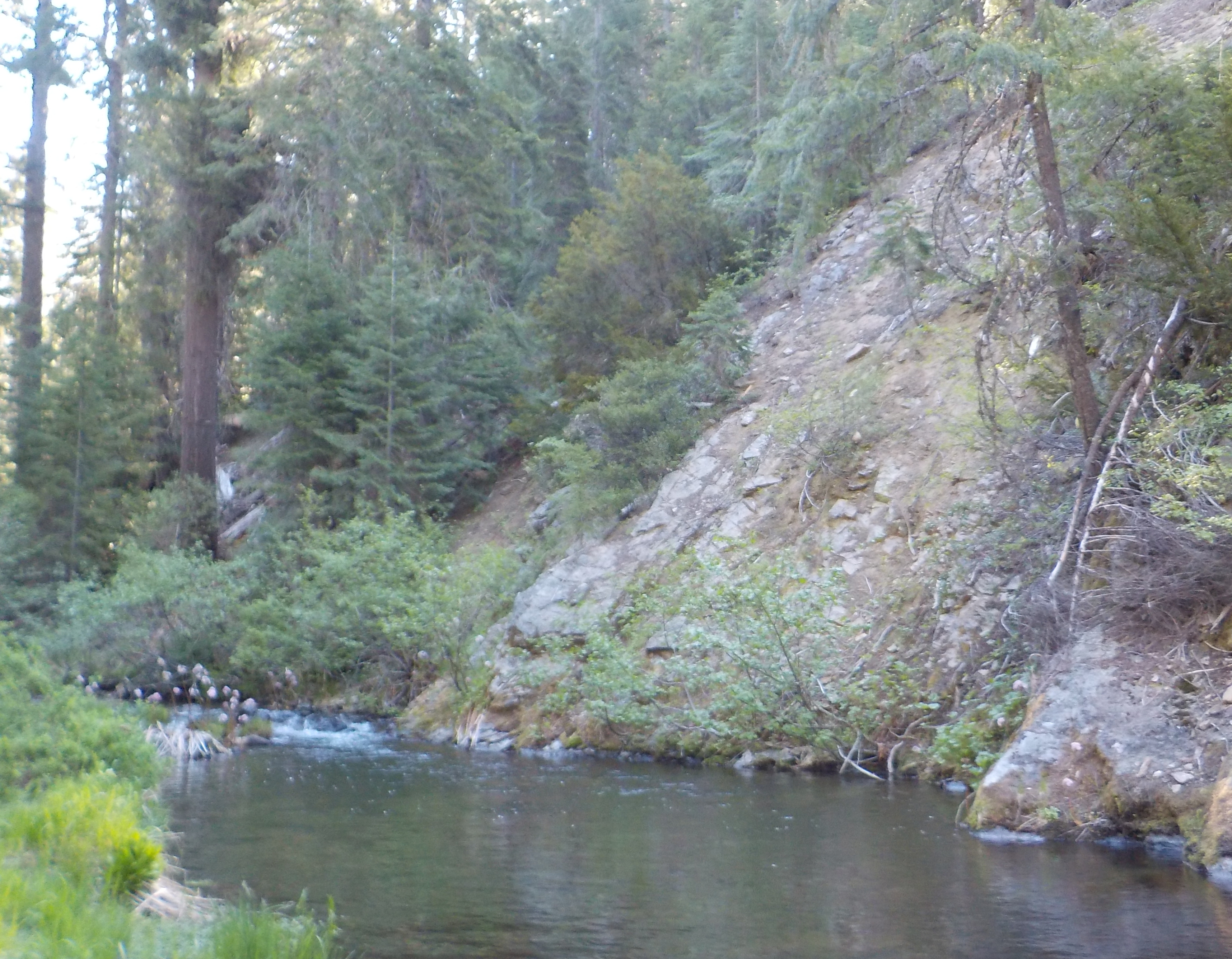 Salmon Swim Hole Trail Creek CG