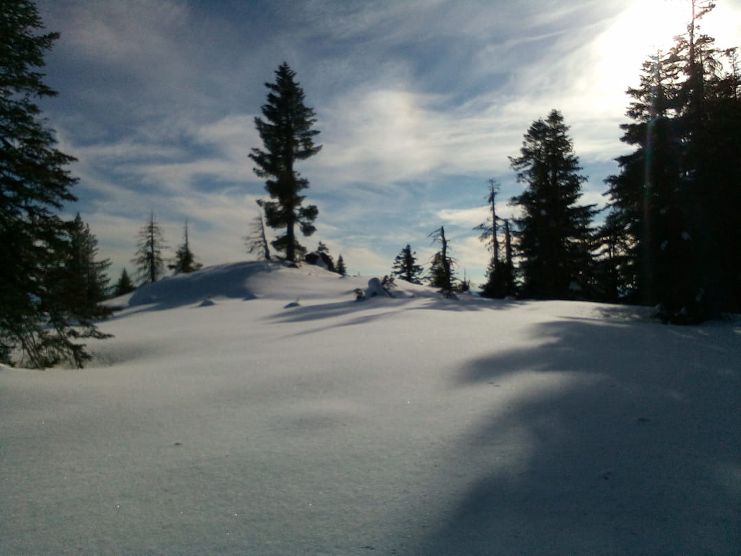 Meadow Below the Knoll Mt Ashland